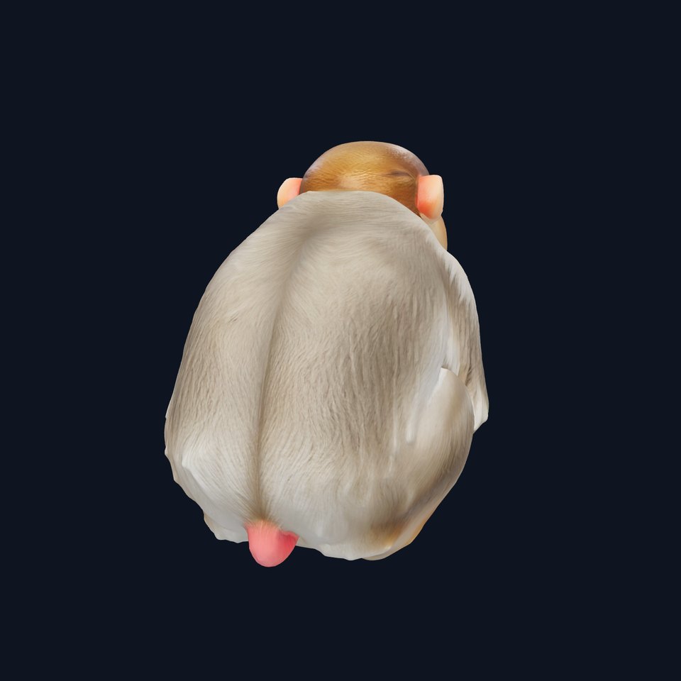 Japanese Macaque 3D Model with Detailed Winter Coat viewer poster