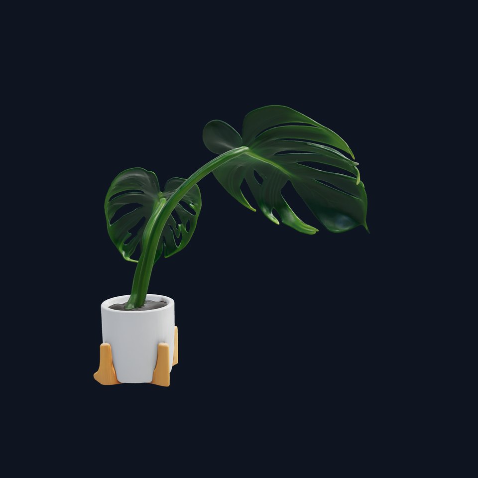 Monstera Plant in Ceramic Pot model pack viewer poster