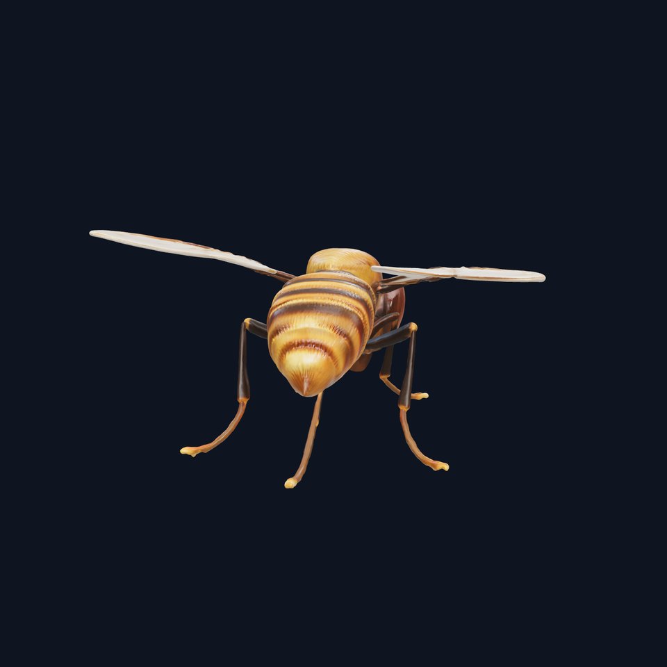Realistic Hoverfly Insect Model Pack viewer poster