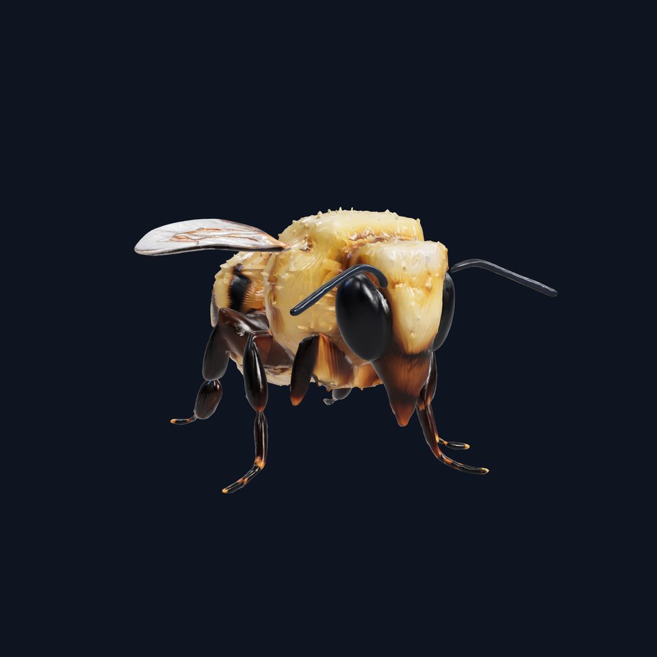 Authentic Bumblebee Model Pack with Detailed Texturing viewer poster