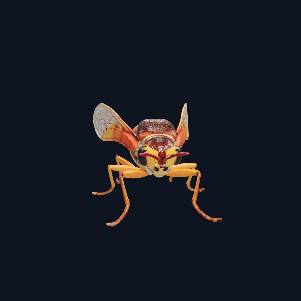 Detailed Cicada Insect Model Pack viewer poster