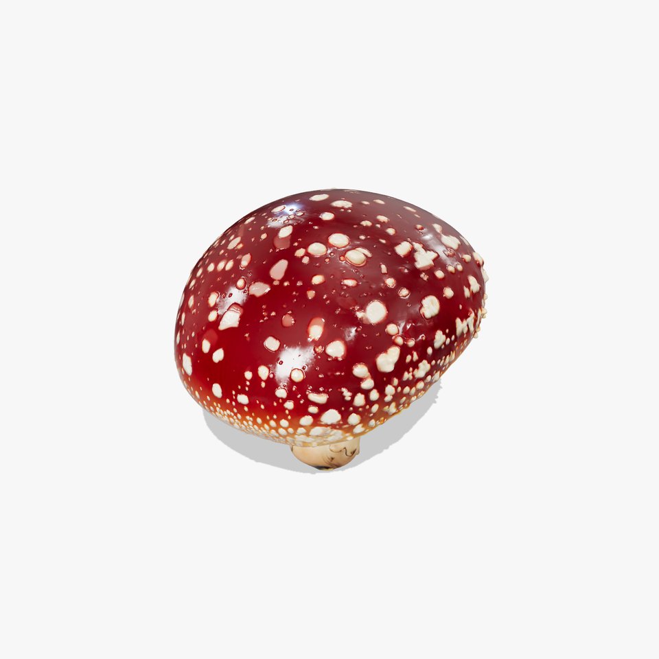 Fly Agaric Mushroom Fantasy Scene model pack viewer poster