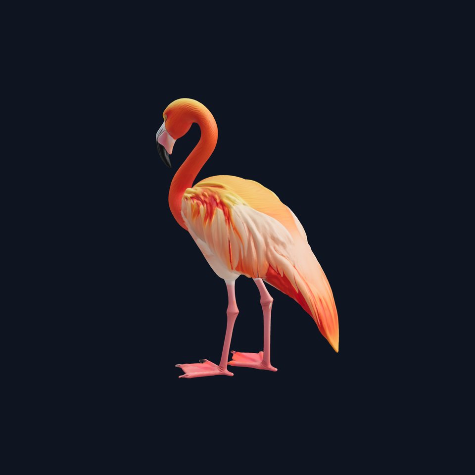 Vibrant Pink Flamingo Model Pack viewer poster