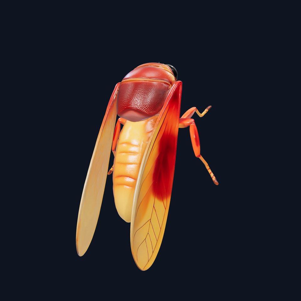 Amber-lit Cicada with Transparent Wings Model Pack viewer poster
