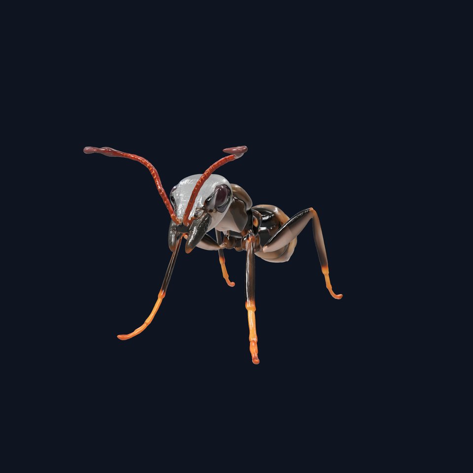 Metallic Miner Ant Model Pack