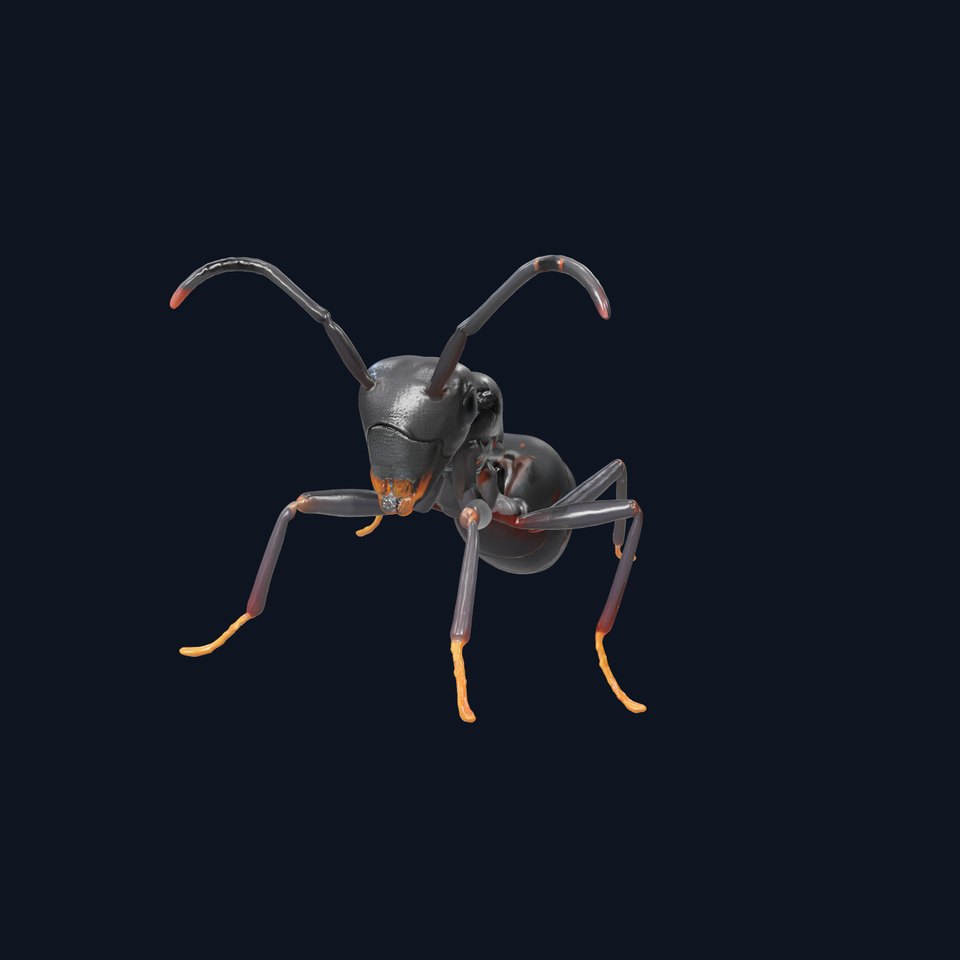 Cave Ant 3D Model Pack with Matte Black Finish viewer poster