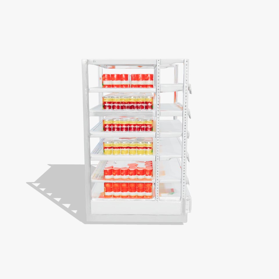Adjustable Supermarket Shelf Display model pack viewer poster