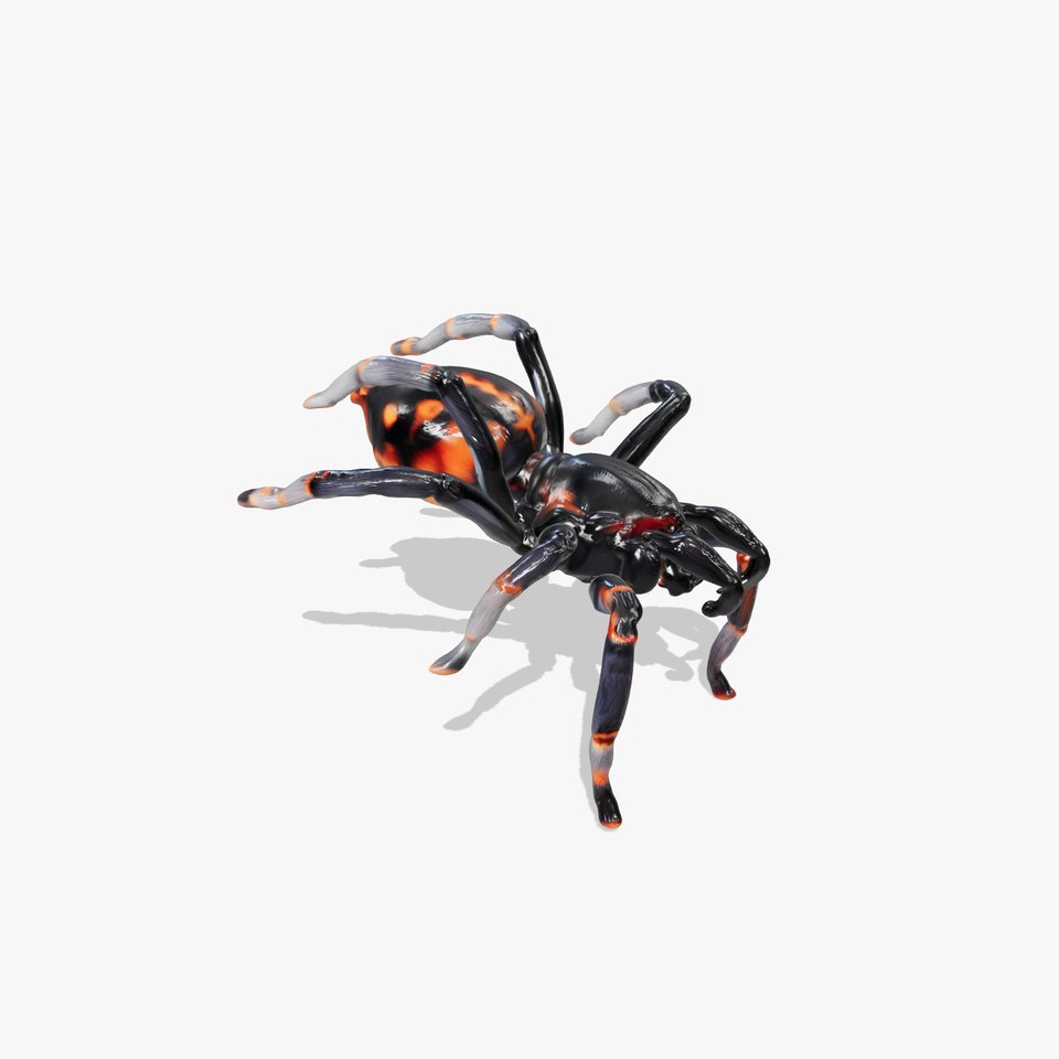 Sydney Funnel-Web Spider Realistic model pack viewer poster