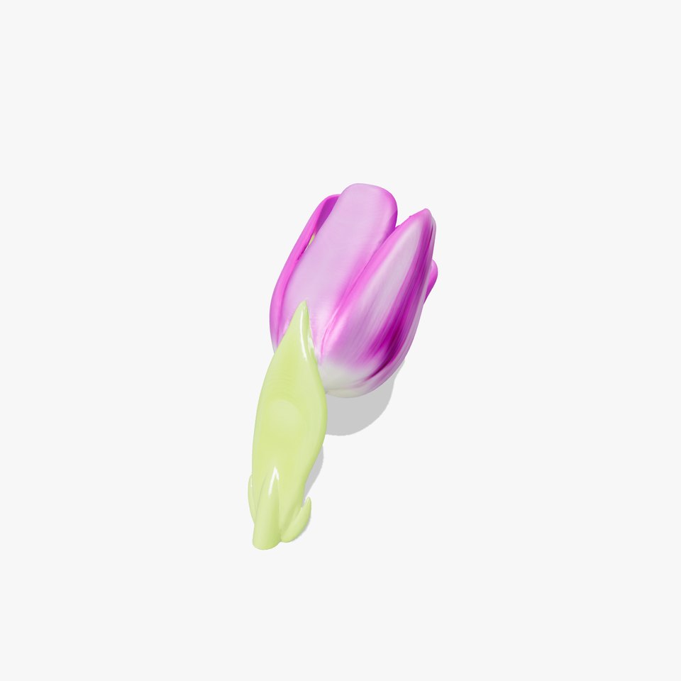 Tulipa Purple Velvety Petals 3D Model Pack viewer poster
