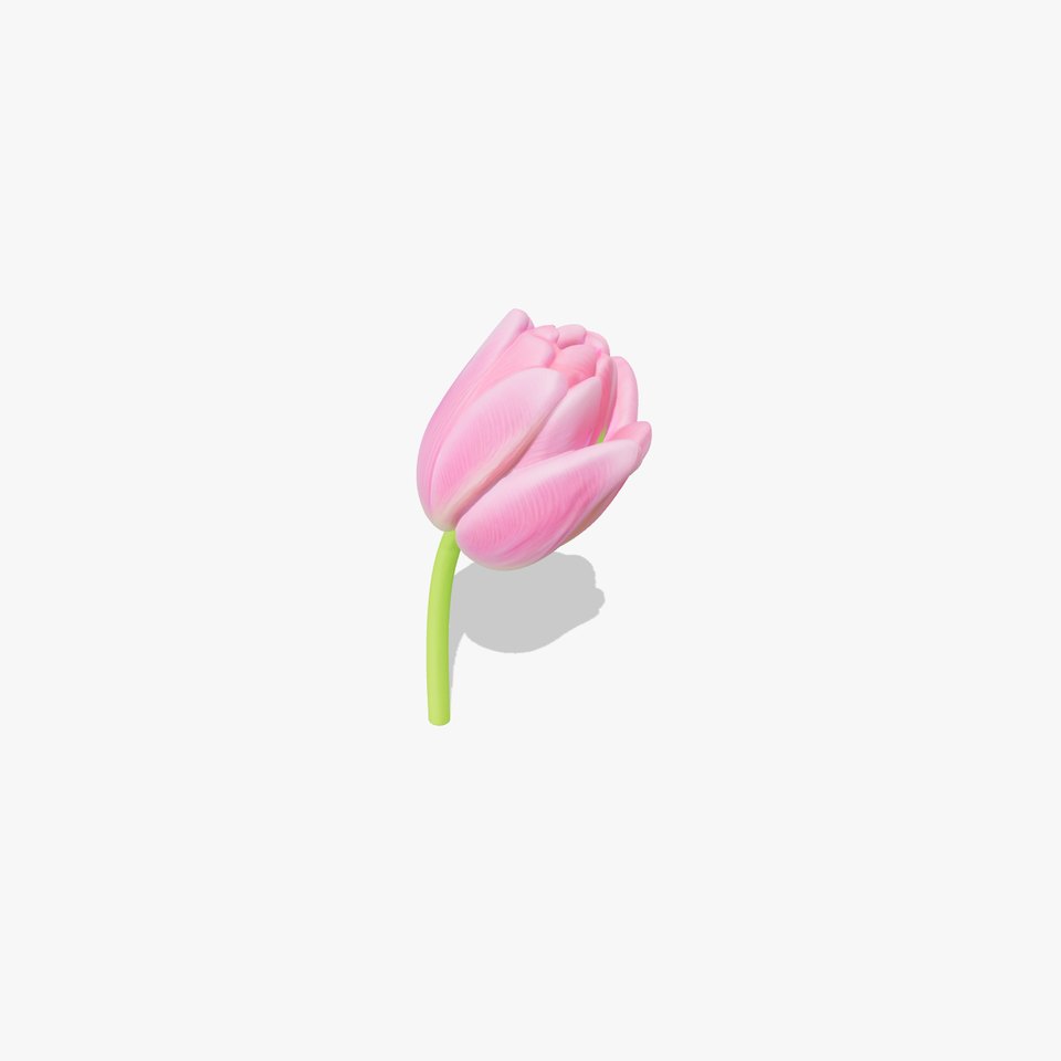 Pink Tulip Light Gradient Petals model pack viewer poster
