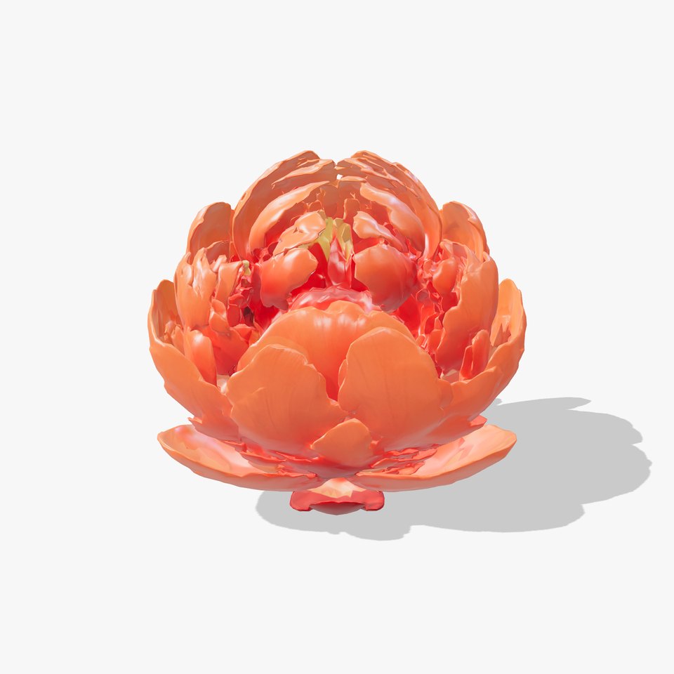 Coral Peony Soft Petals model pack viewer poster