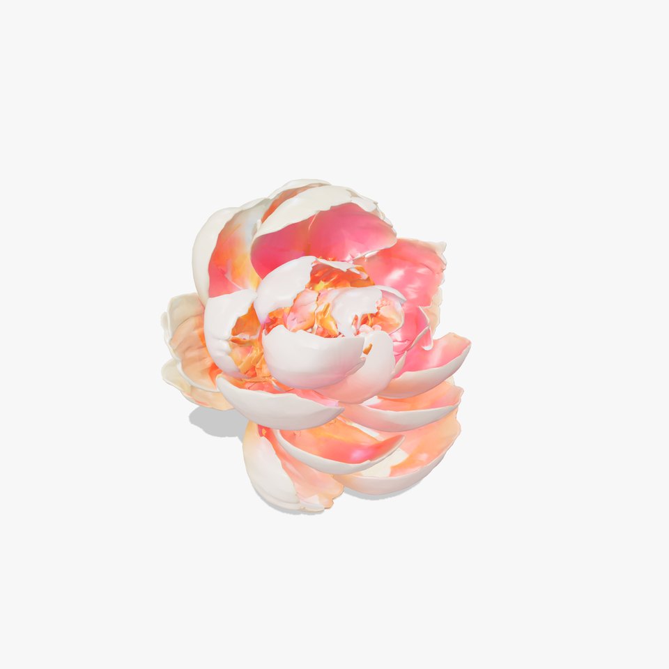 Bicolor Peony Soft Hue model pack viewer poster