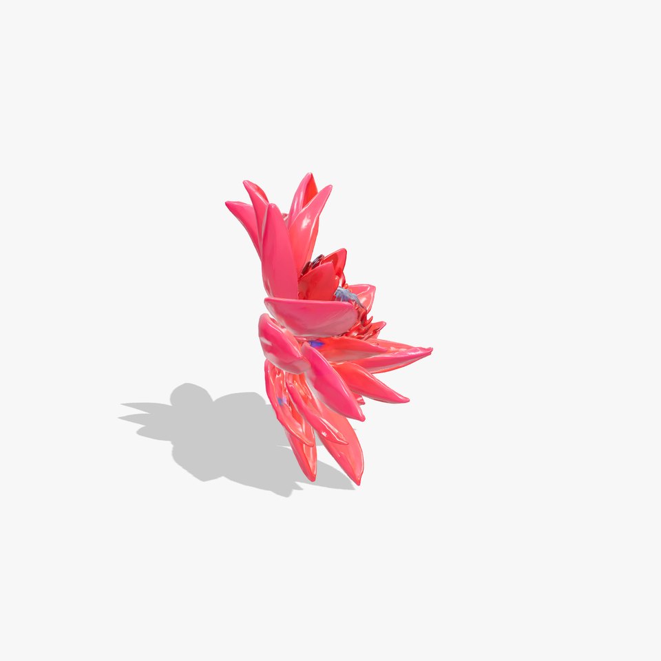 Red Water Lily Nymphaea Model Pack viewer poster