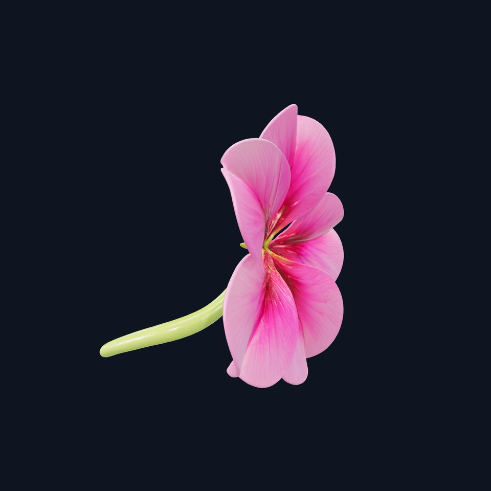 Bicolor Clover Flower 3D Model Pack viewer poster