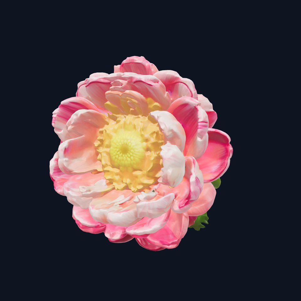 Vivid Ranunculus Flower Sculpture model pack viewer poster