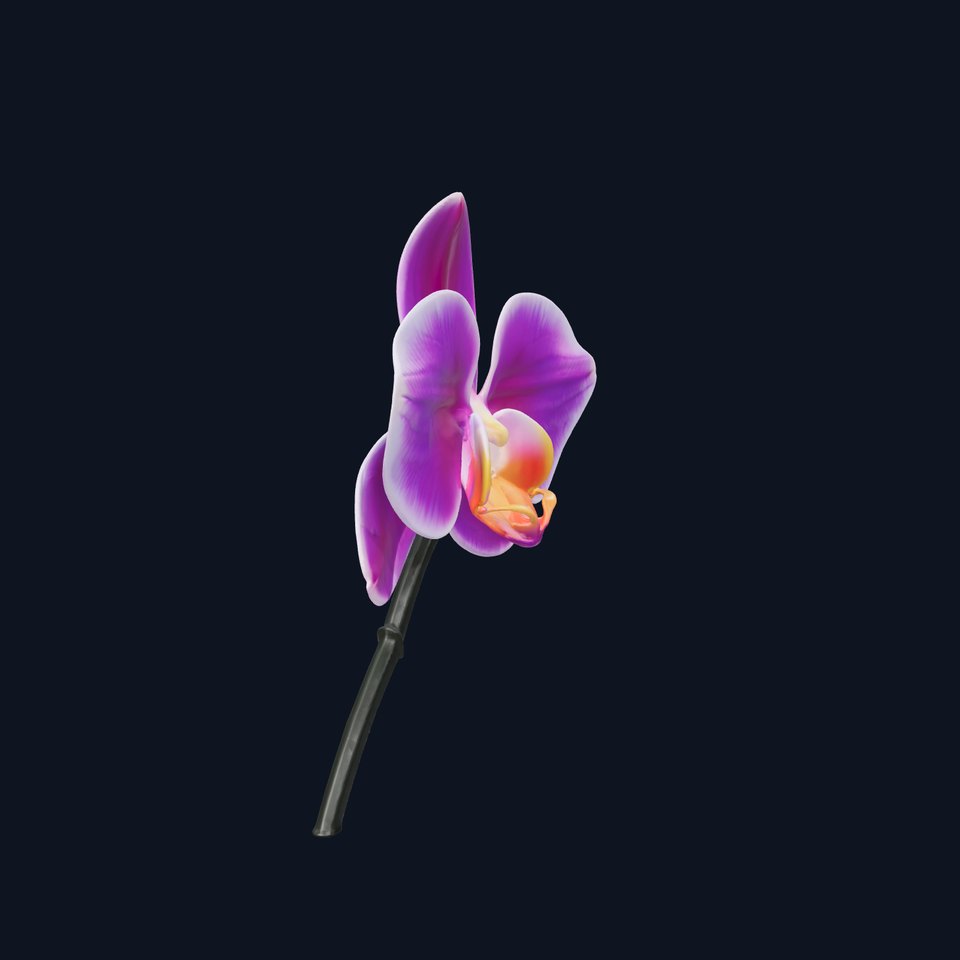 Cattleya Orchid Elegance Velvet Texture model pack viewer poster