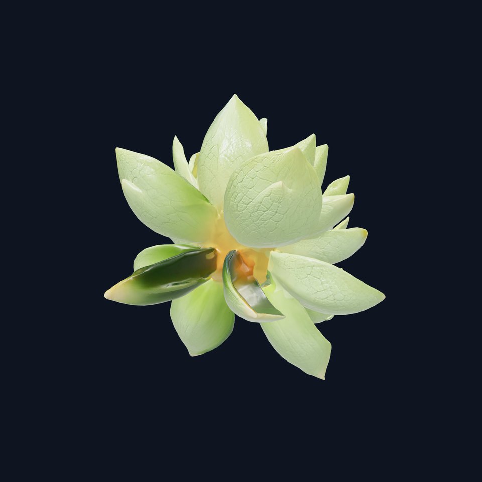 Green Water Lily Nymphaea Detailed Blossom model pack viewer poster