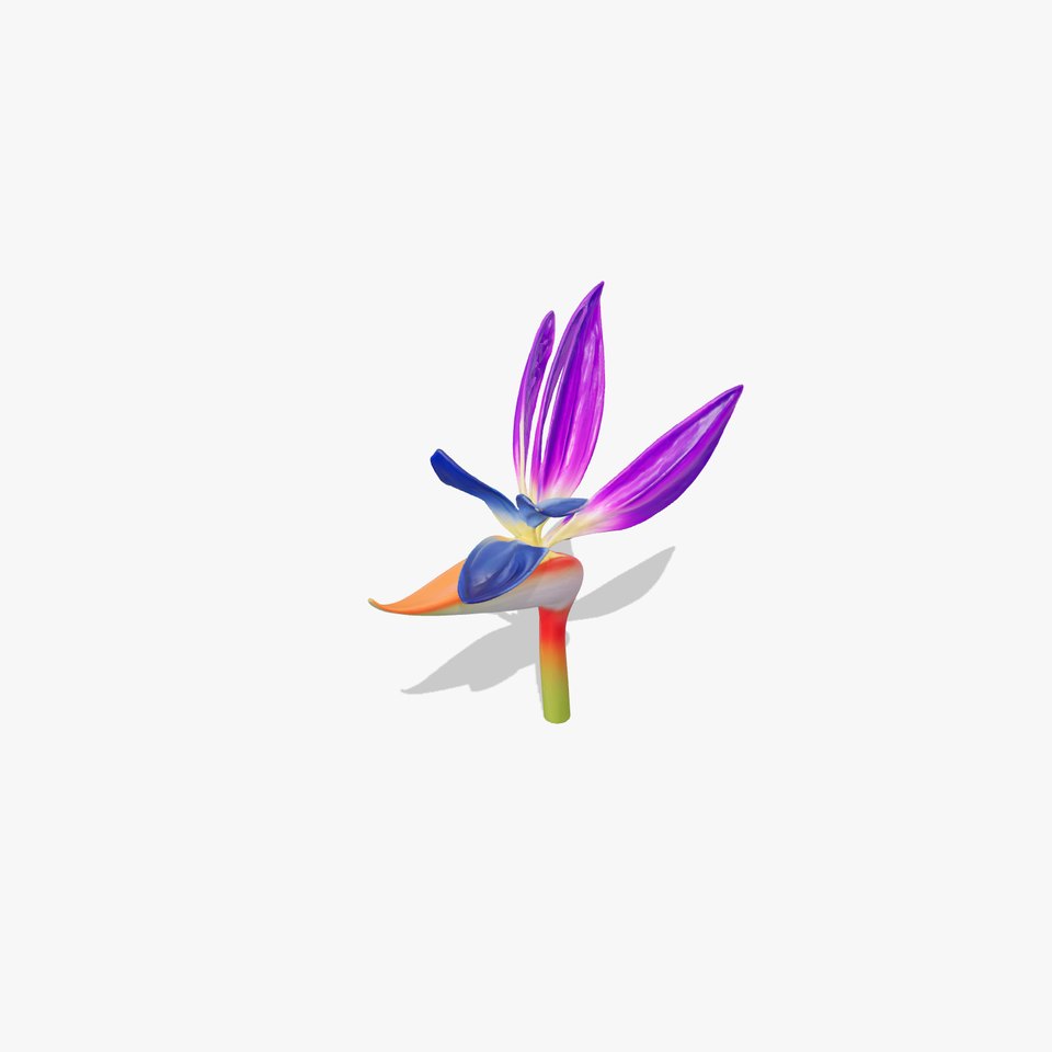 Strelitzia Reginae Exotic Purple Flower Model Pack viewer poster