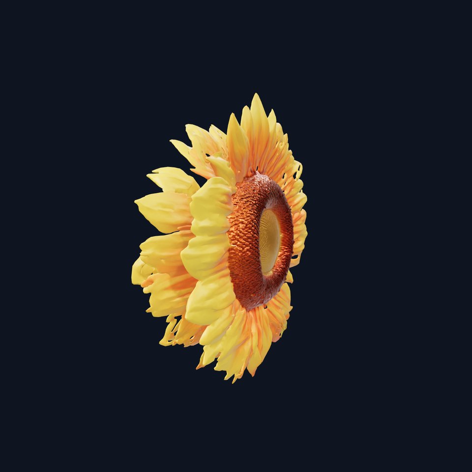 Sunflower Petal Detail Sculpture model pack viewer poster