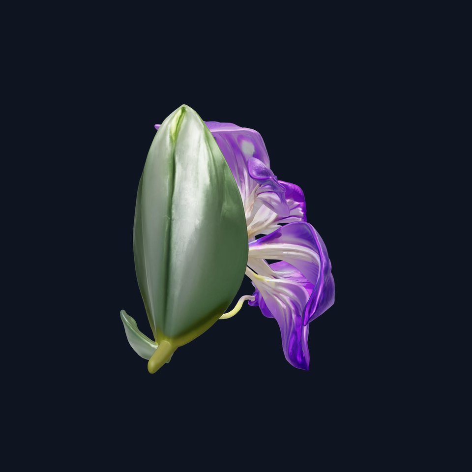 Freesia Purple Realistic Flower model pack viewer poster