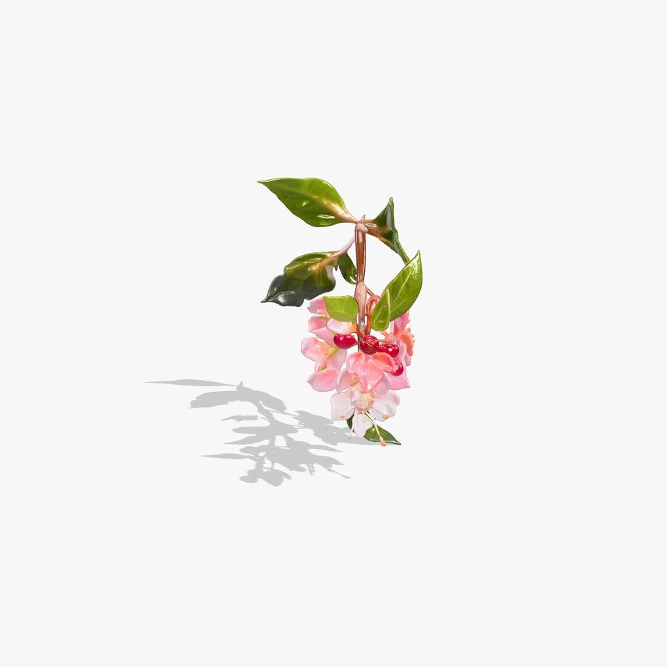 Lonicera Minor Vibrant Petals and Foliage model pack viewer poster
