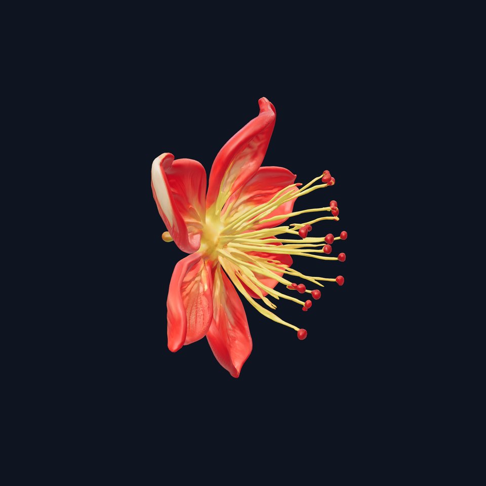 Lonicera Red Floral Sculpture model pack viewer poster