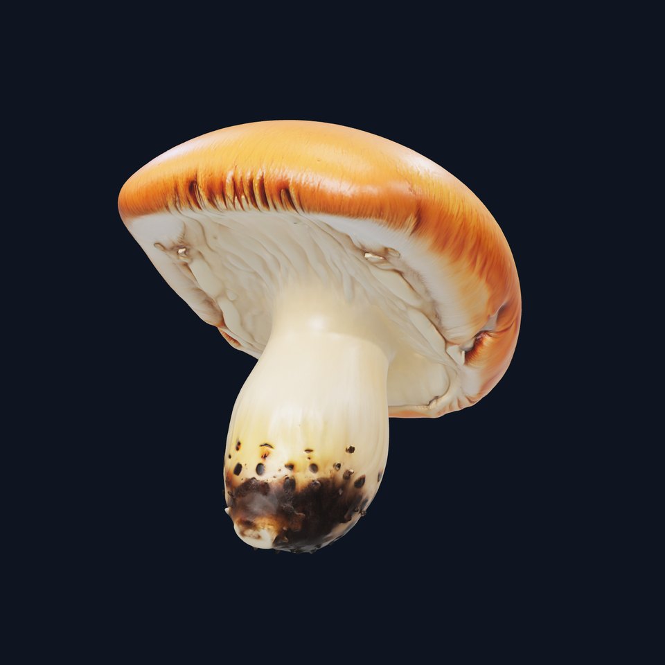 Birch Forest Red-Cap Mushroom Model Pack viewer poster