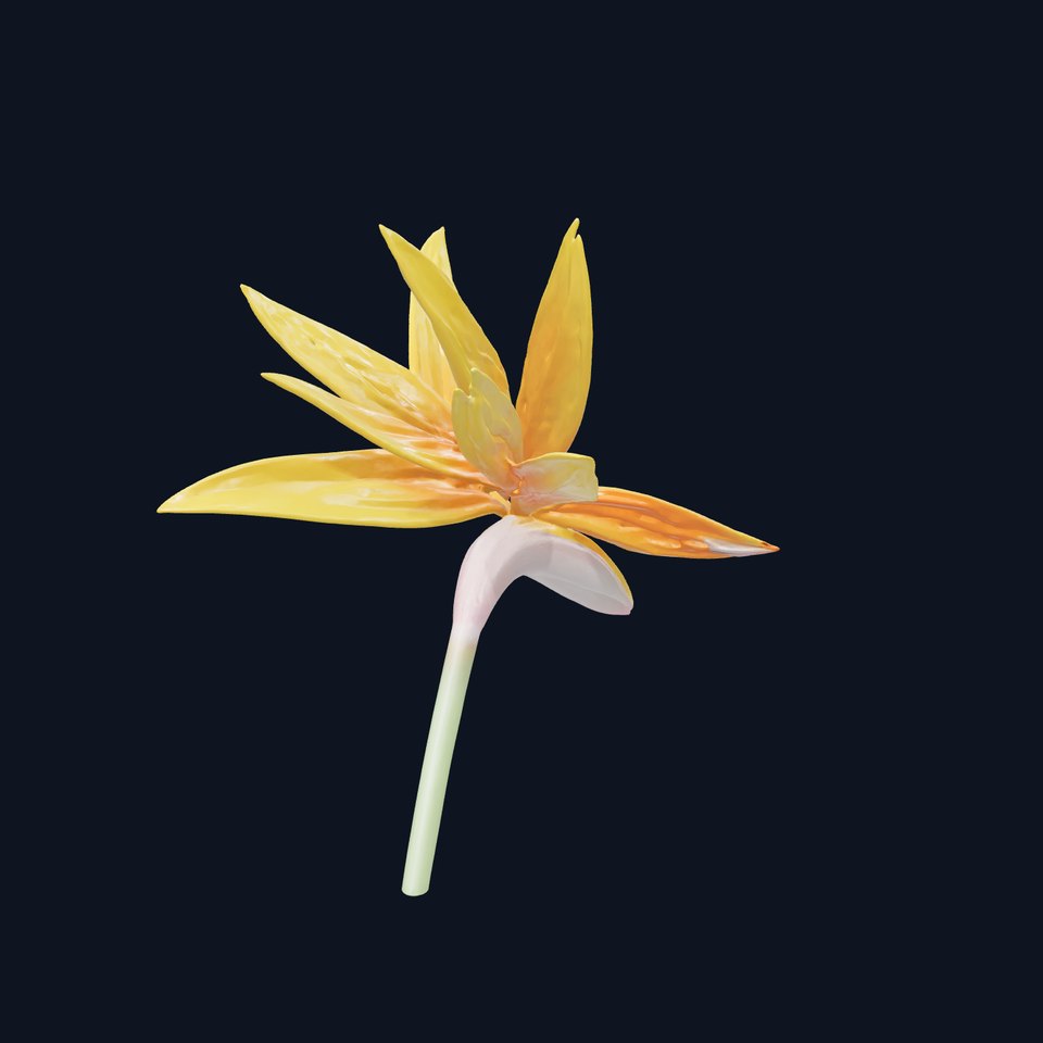 Yellow Strelitzia Flower 3D Model Pack viewer poster