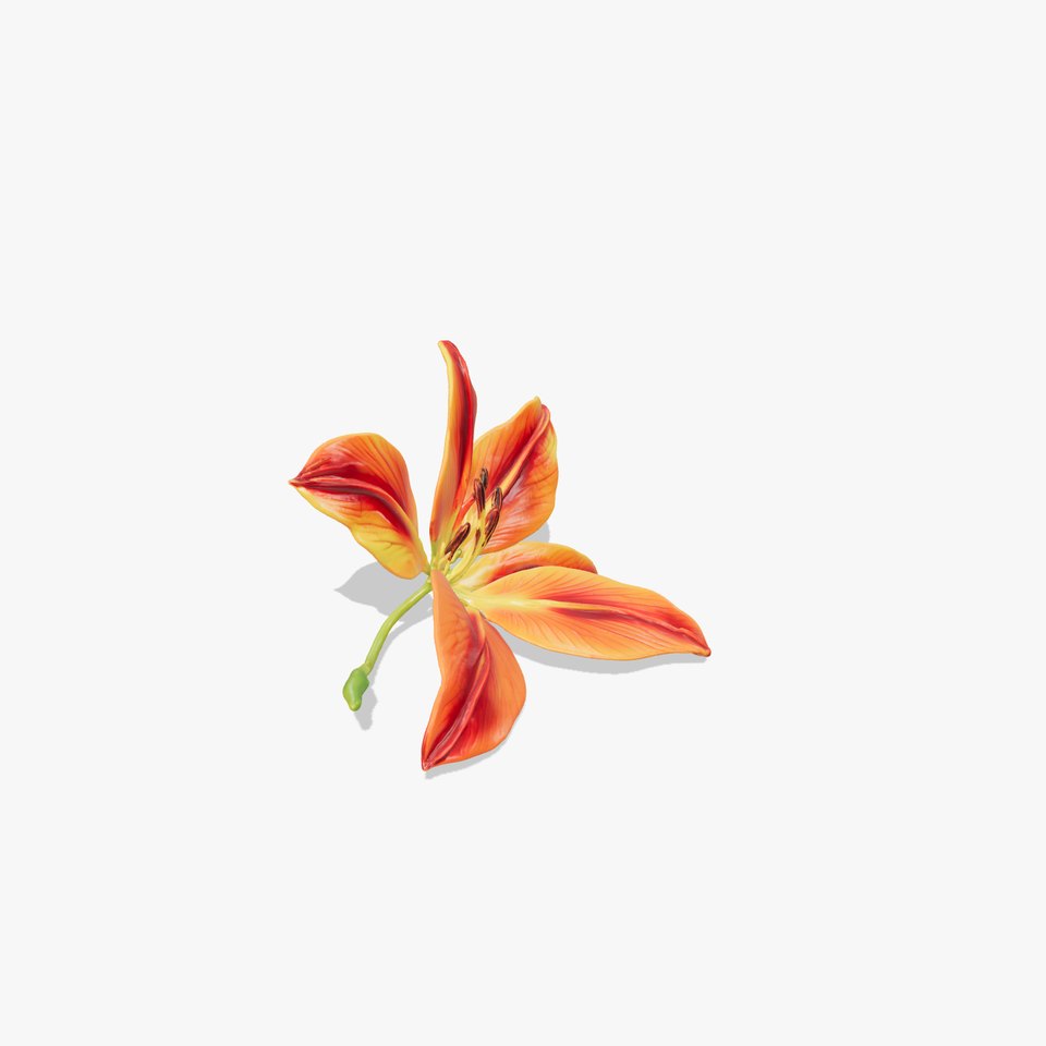Asiatic Lily Bright Petal Texture model pack viewer poster