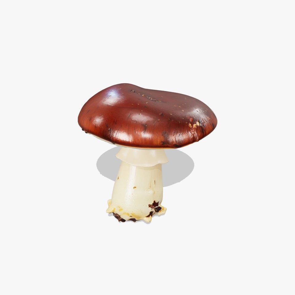 Damaged Mushroom with Authentic Marks model pack viewer poster