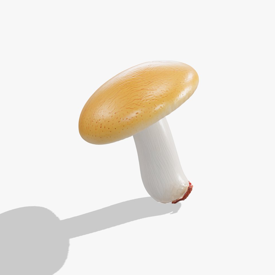 Young Boletus Mushroom Collection model pack viewer poster