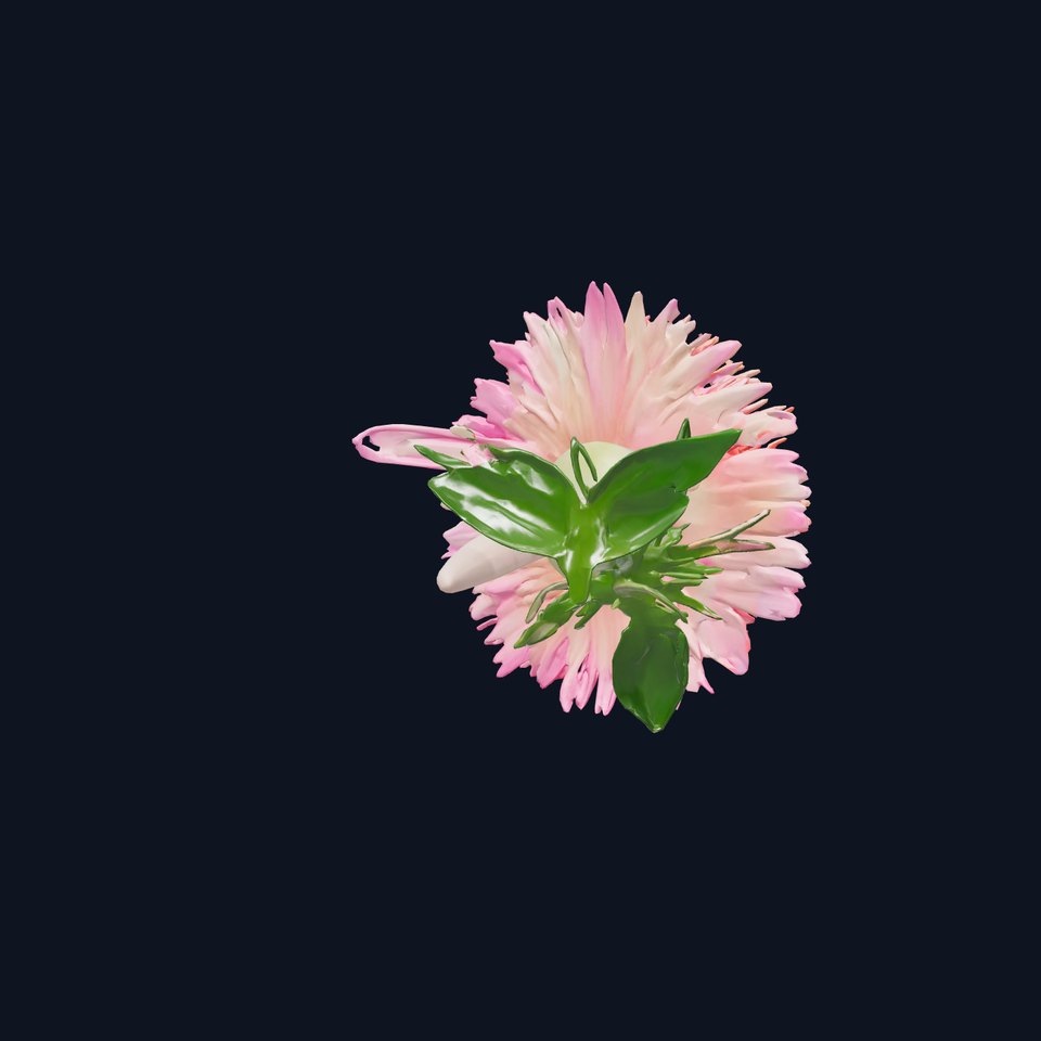Aster Flower Spectrum Realistic 3D Model Pack viewer poster