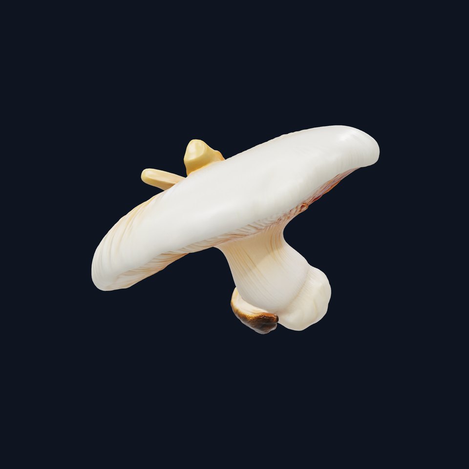 Meadow Mushroom Realistic Sculpture model pack viewer poster