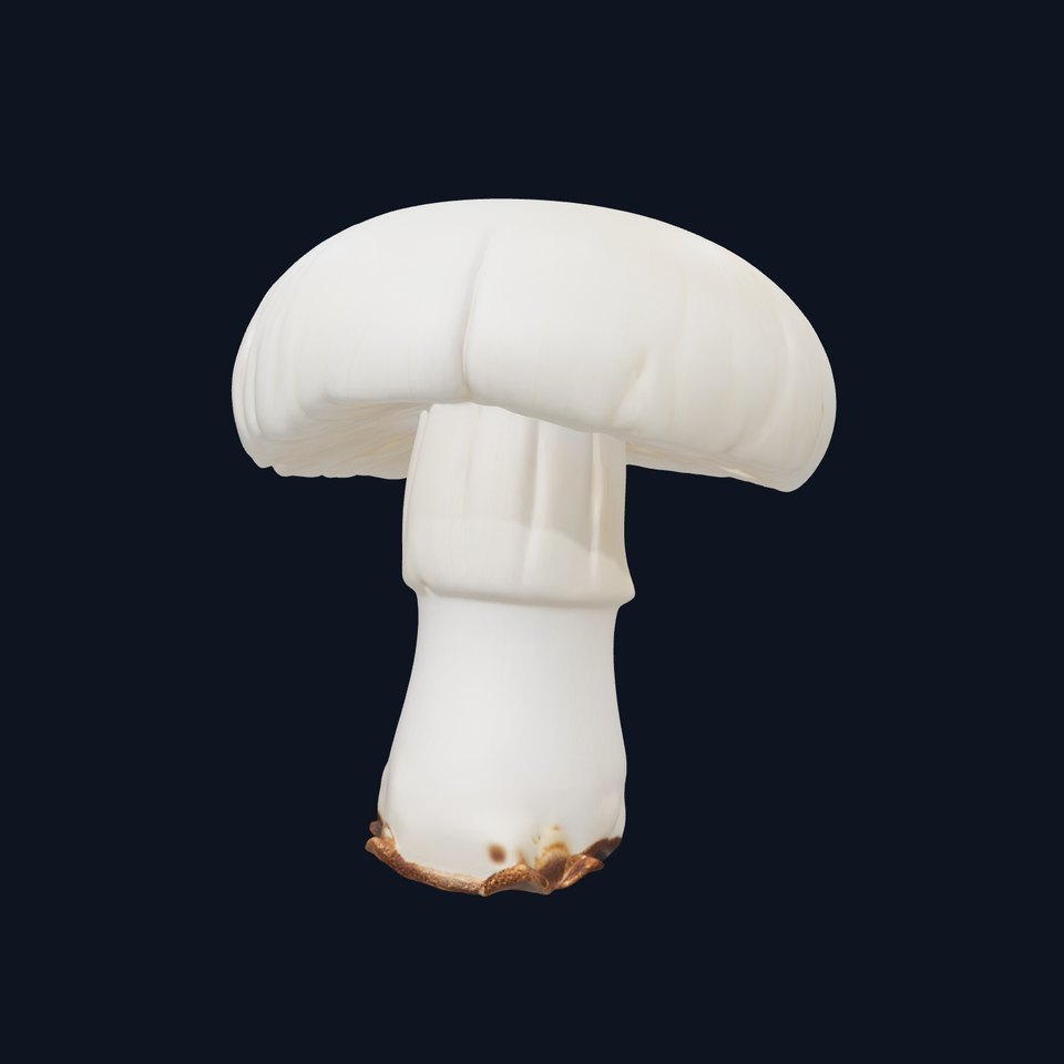 Young Mushroom Realistic model pack viewer poster