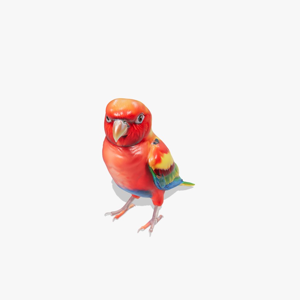 Vibrant Rosella Parrot 3D model pack viewer poster