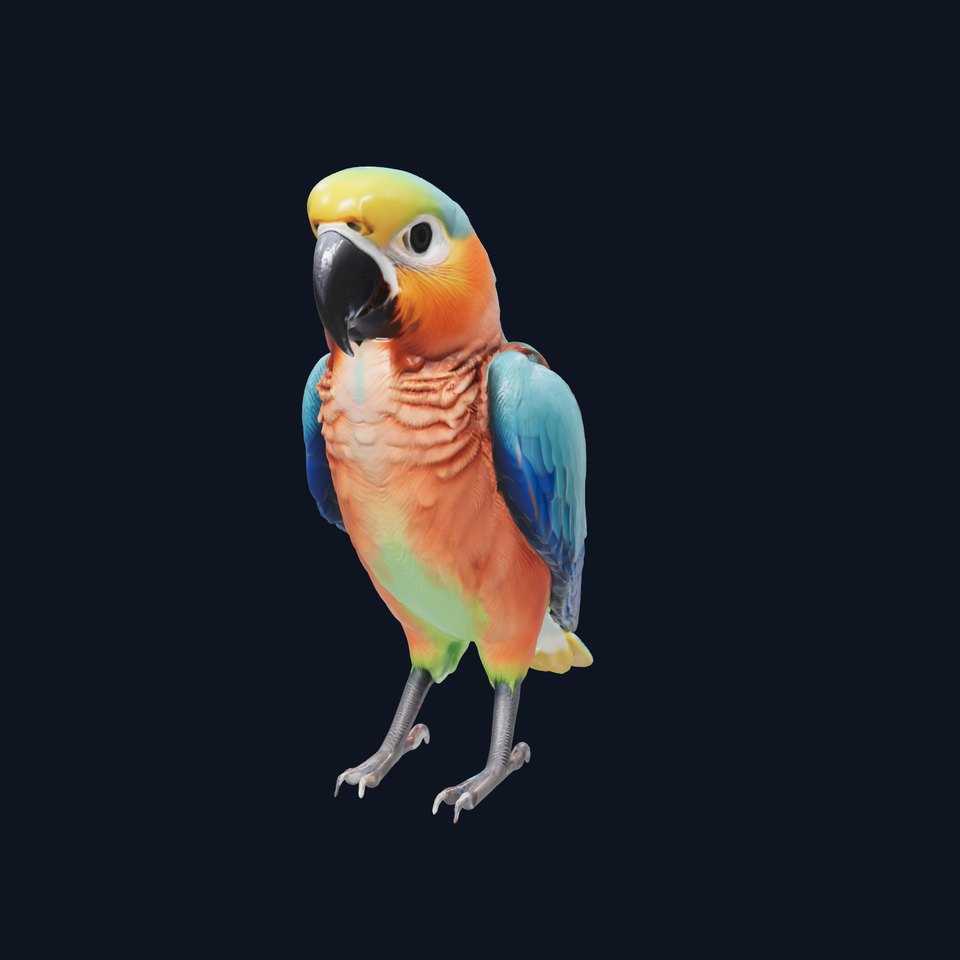 Colorful Parrot Species 3D Model Pack viewer poster