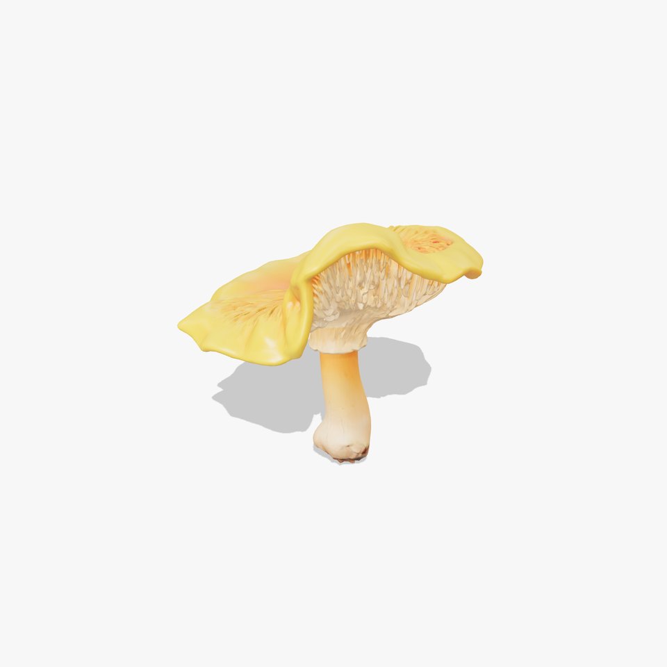Vibrant Chanterelle Mushroom Classic Model Pack viewer poster
