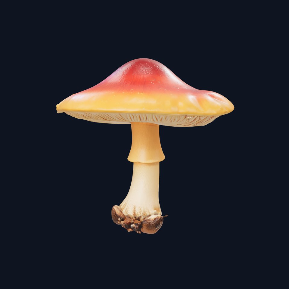 Chanterelle Mushroom Realistic Model Pack viewer poster