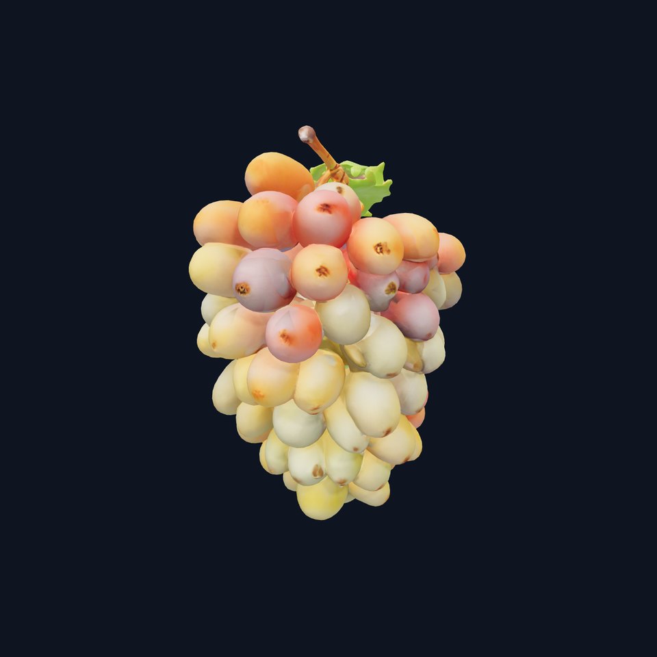 Unripe Grape Bunch Realistic 3D Model Pack viewer poster
