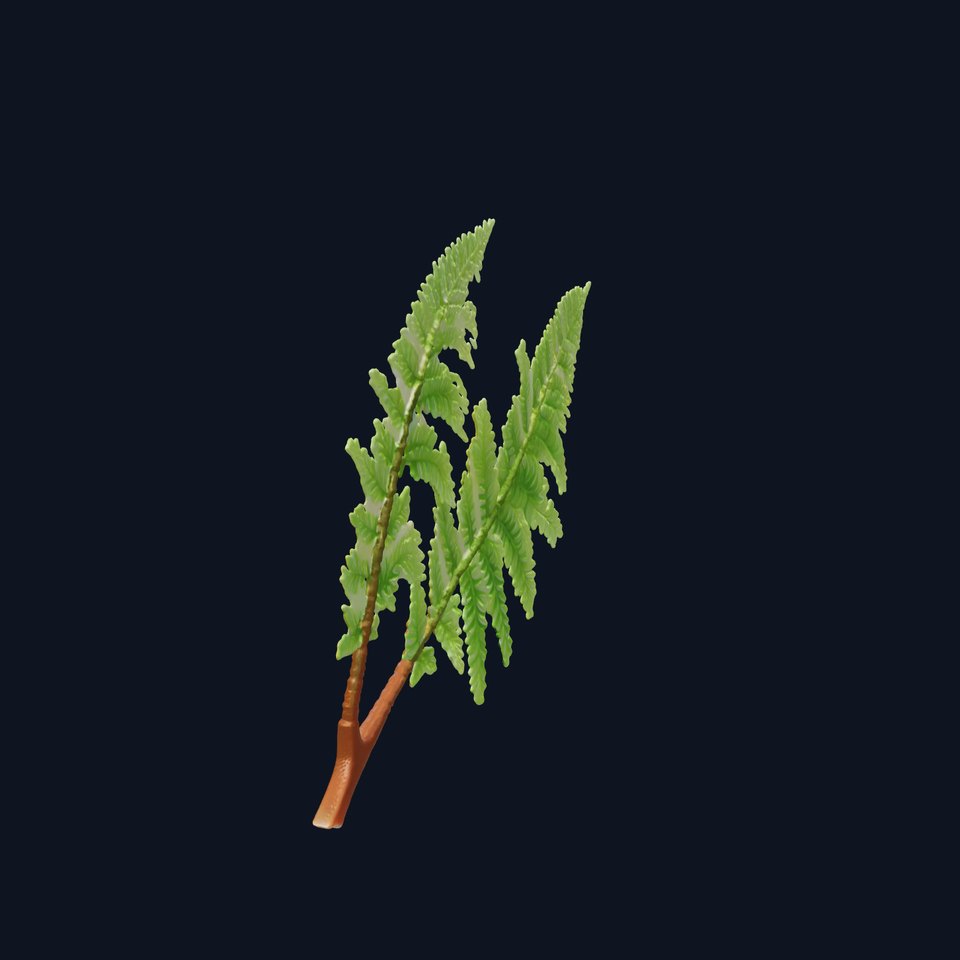 Detailed Asplenium Fern Foliage D Model Pack viewer poster