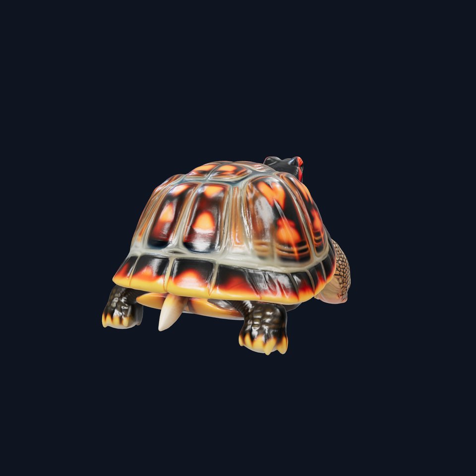 RedEared Slider Turtle Detailed Model Pack viewer poster