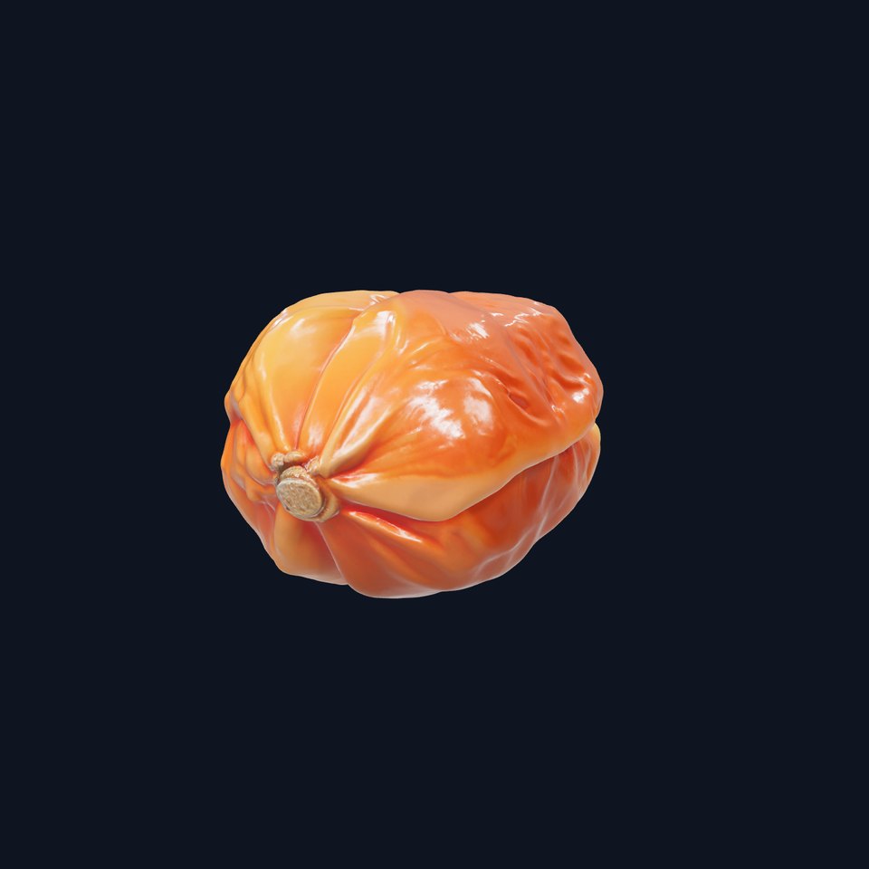 Dried Date Fruit Detailed Model Pack viewer poster