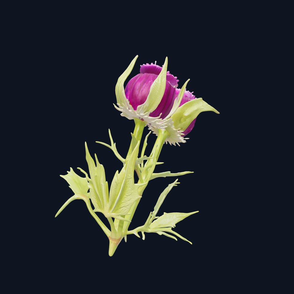 Thistle Leaves Detailed Nature model pack viewer poster