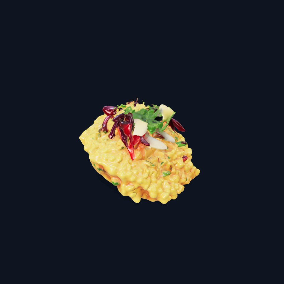 Gourmet Italian Risotto Plate Presentation model pack viewer poster