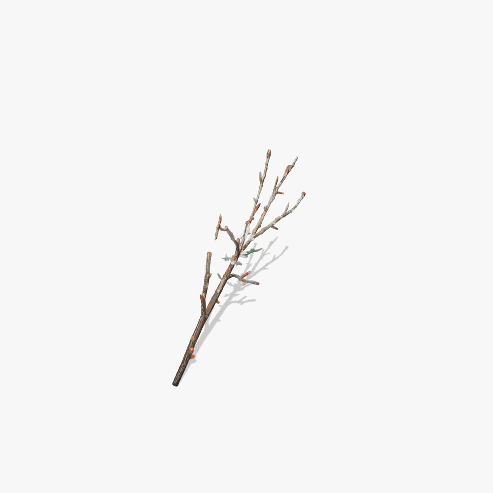 Snowy Branch Model Pack for Natural Scenes viewer poster
