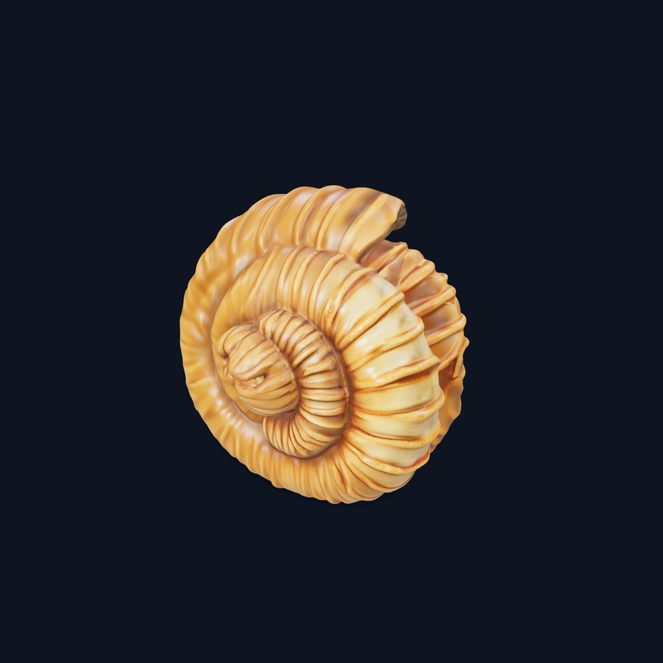 Fossilized Ammonite Model Pack for Interactive Environments viewer poster