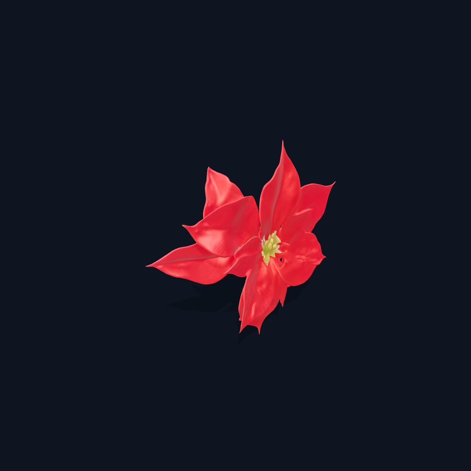 Poinsettia D Model Pack viewer poster