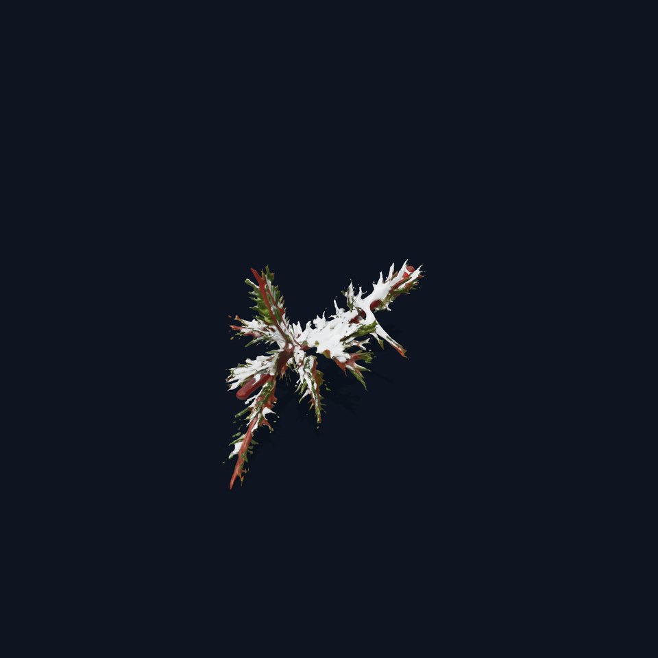 Snowy Pine Branch D Model Pack viewer poster