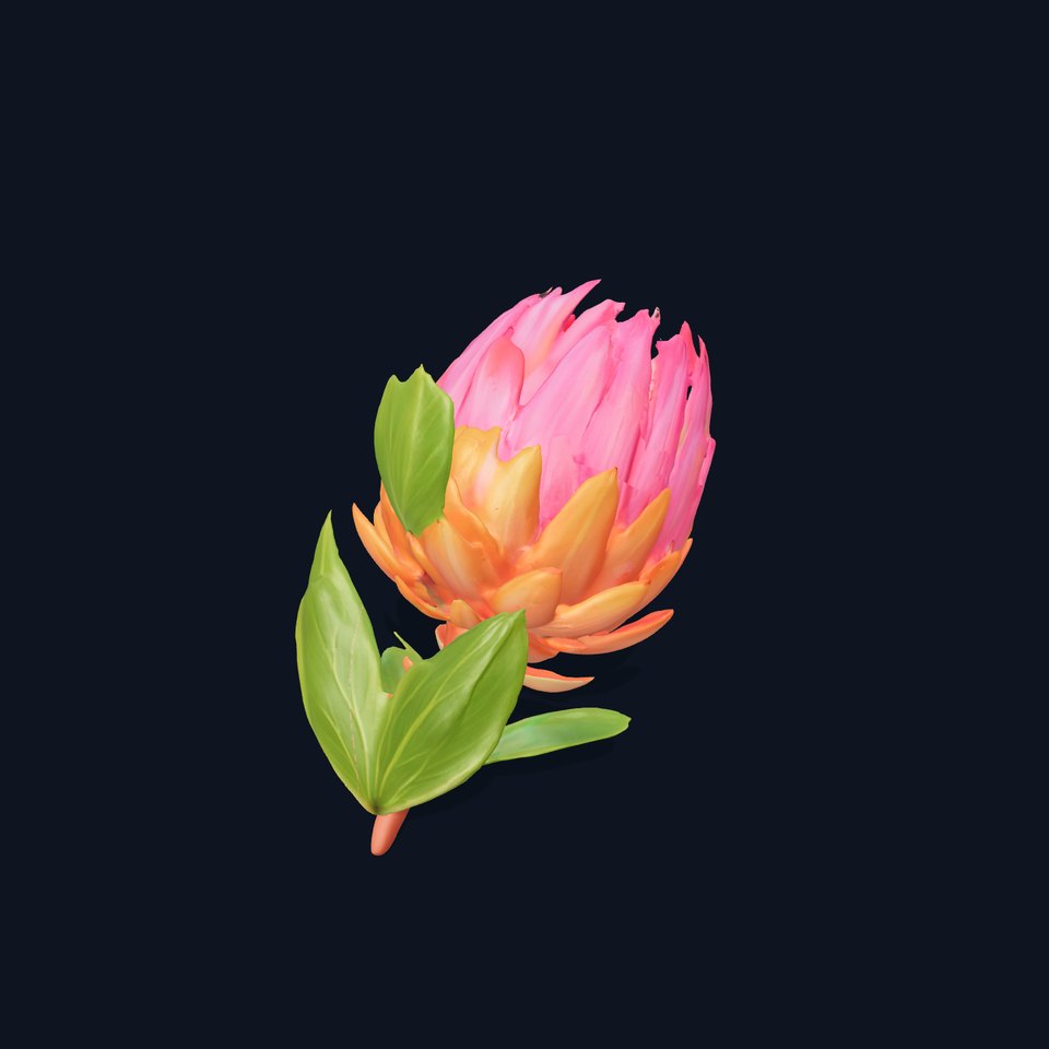 Protea Flower D Model Pack viewer poster