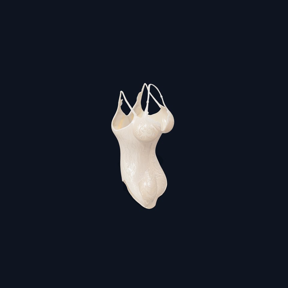 Elegant Lace Bodysuit D Model Pack viewer poster